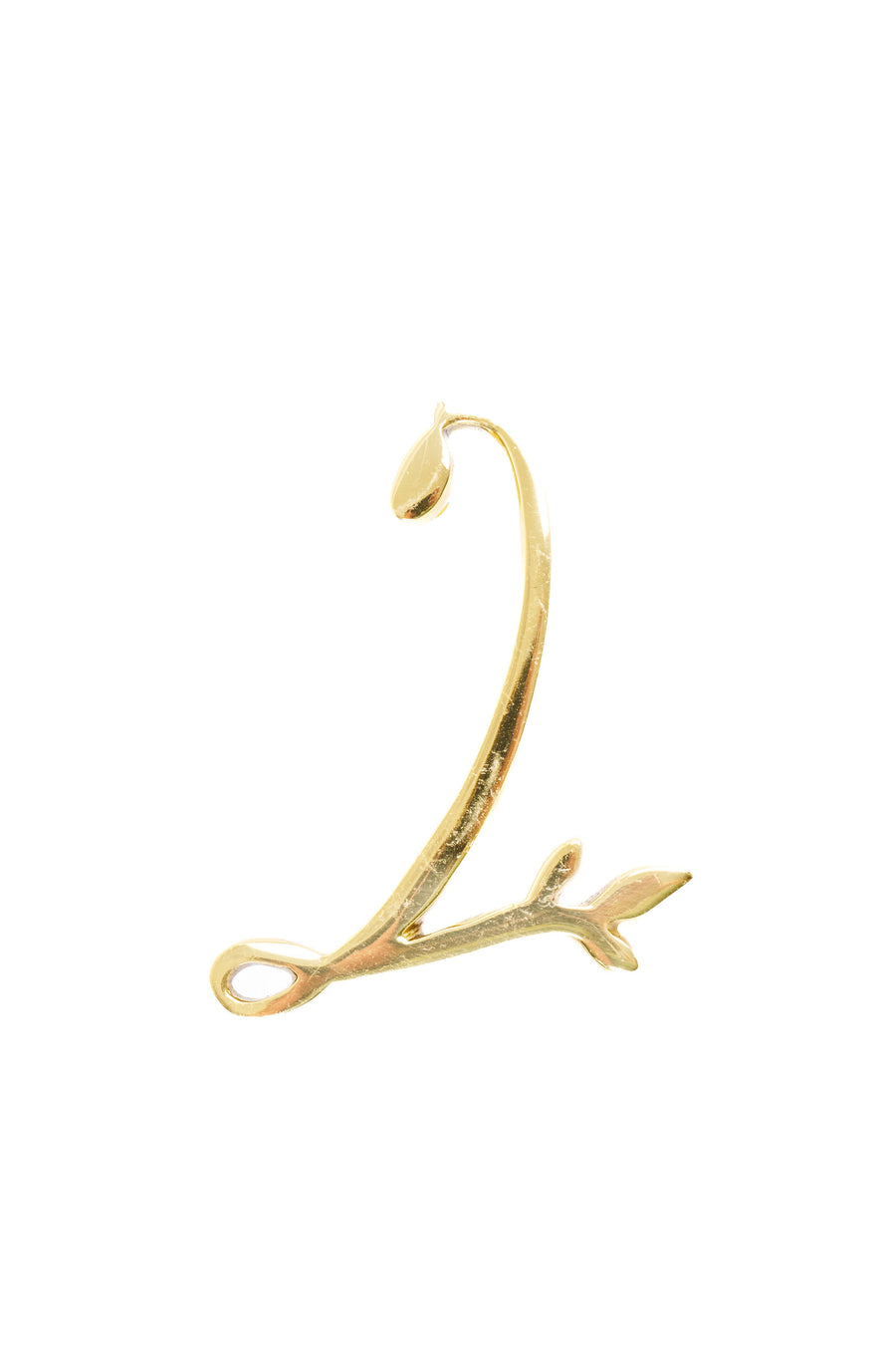 Leaf Flourish Brass House Numbers
