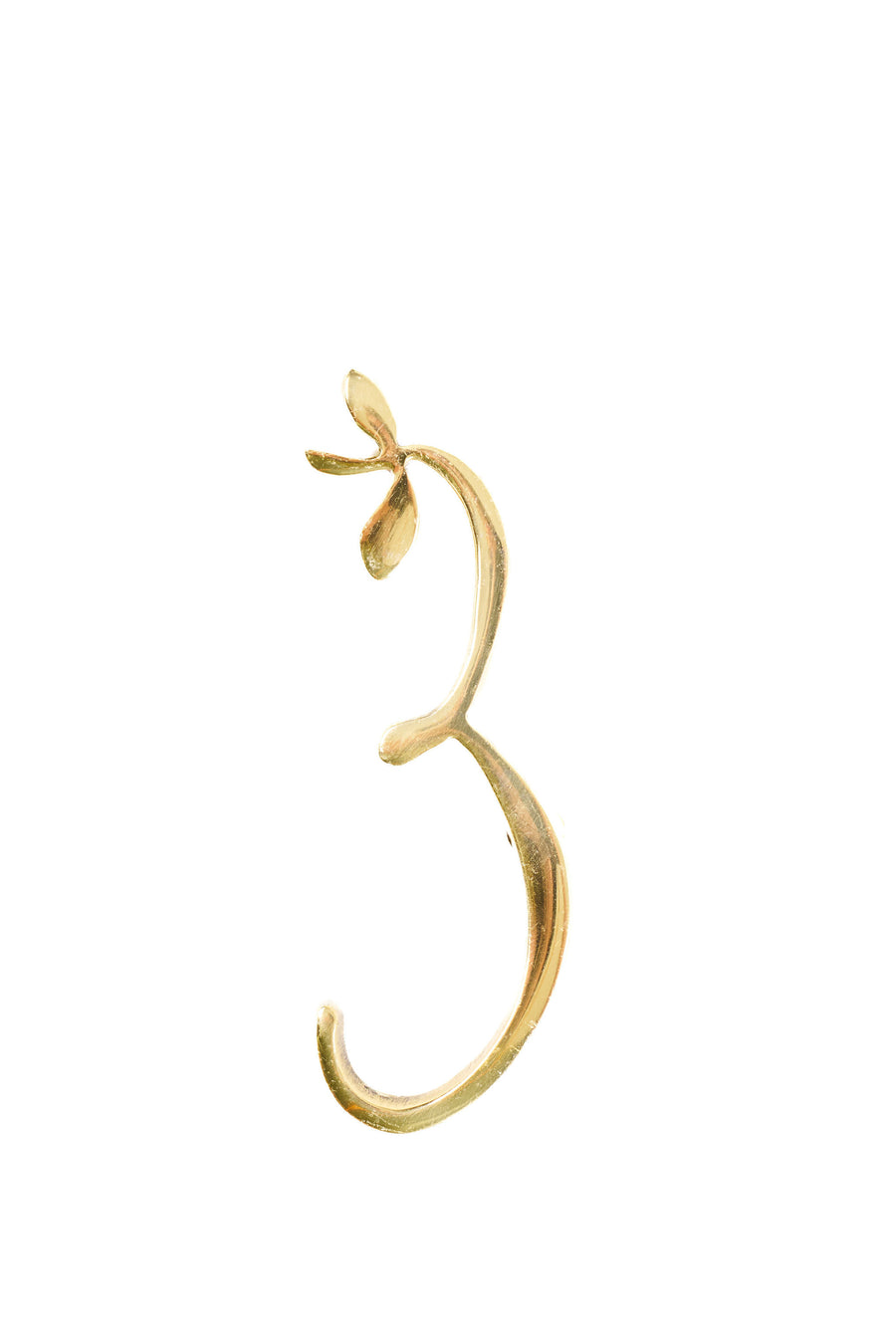 Leaf Flourish Brass House Numbers