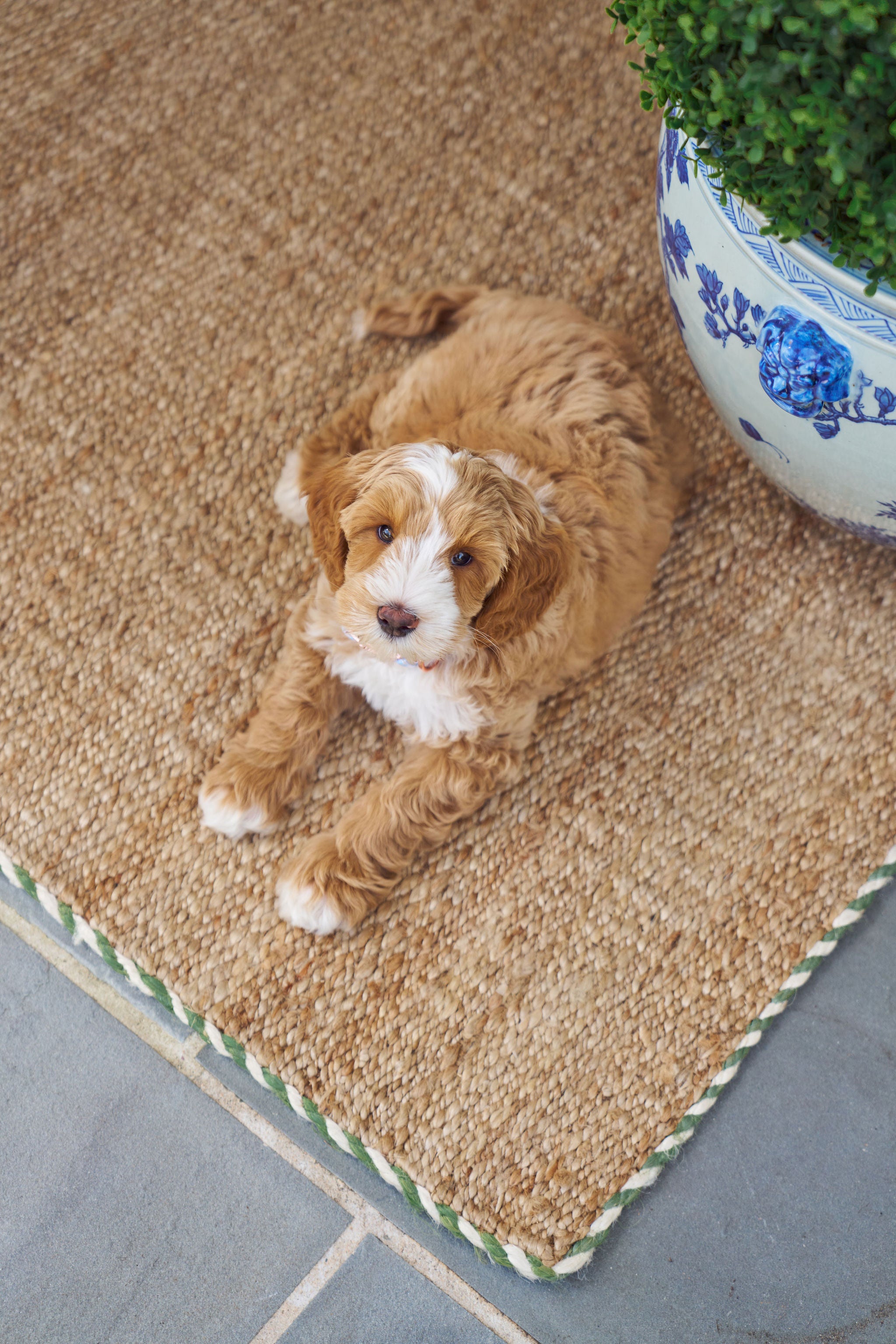 Braided Jute Doormat Basil