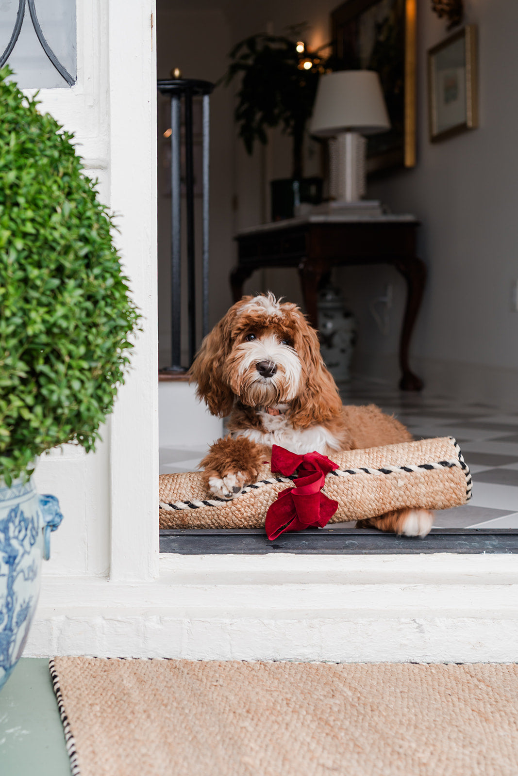Braided Jute Doormat in Wrought Iron