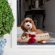 Braided Jute Doormat in Wrought Iron