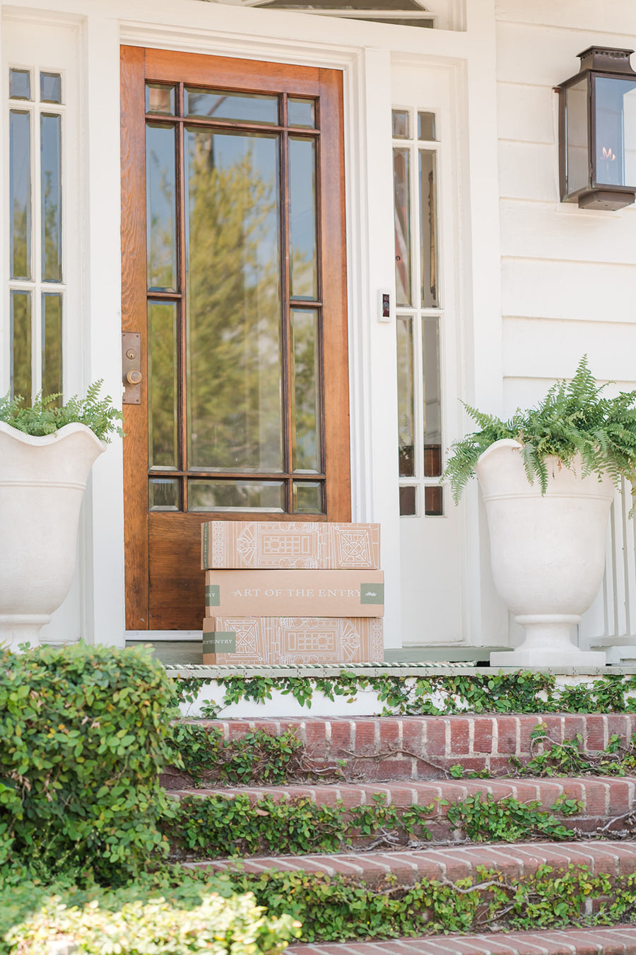 Front Stoop and Front Door With Delivery Boxes and Planters With Ferns